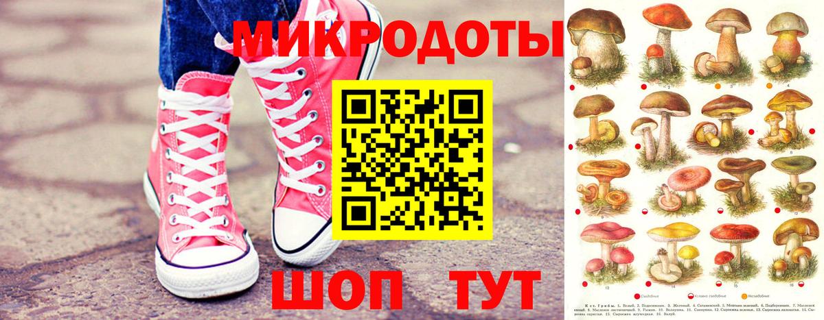 Галлюциногенные грибы мухоморы  Вход с VPN  Кизляр 