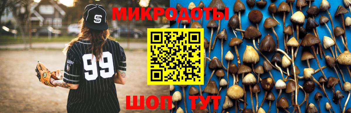 Галлюциногенные грибы Cubensis Кизляр